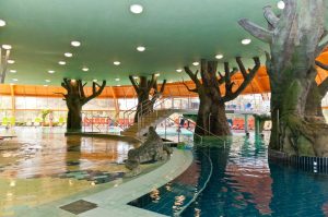 Угорщина  термали Хайдусобосло Aqua Palas