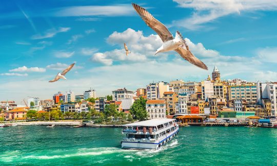 View on istanbul city, Golden Horn bay and Galata Tower