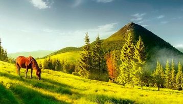 Karpaty-hora-Khomyak